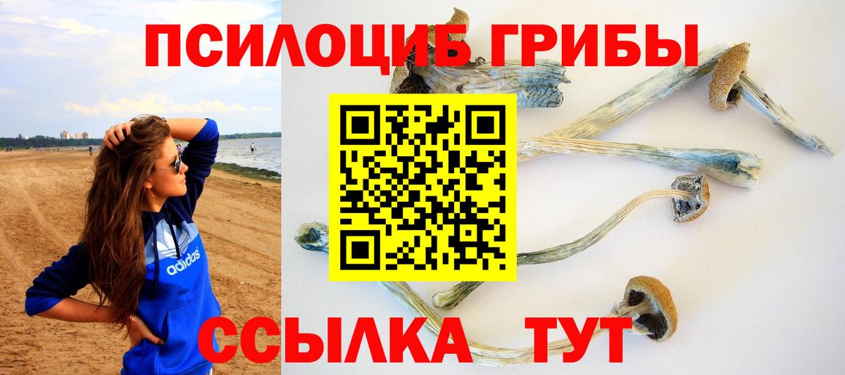 Псилоцибиновые грибы мицелий Сердобск